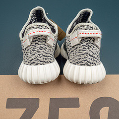 350 Turtledove