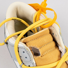 Dunk Low OW Lot 29