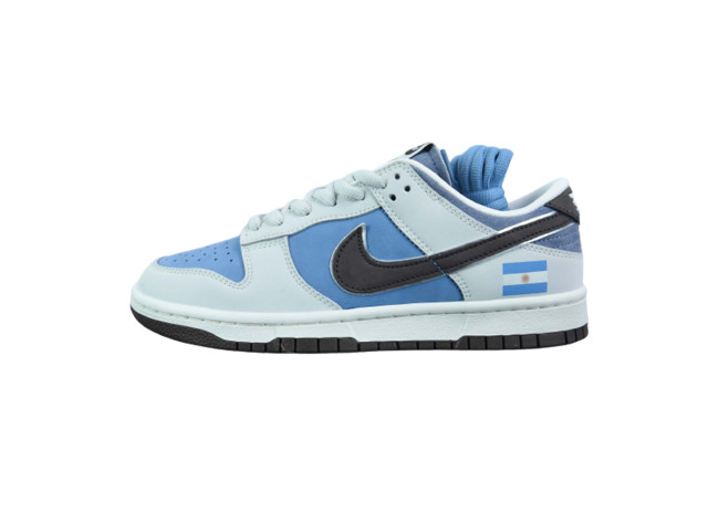 Dunk Low Qatar World Cup Argentina