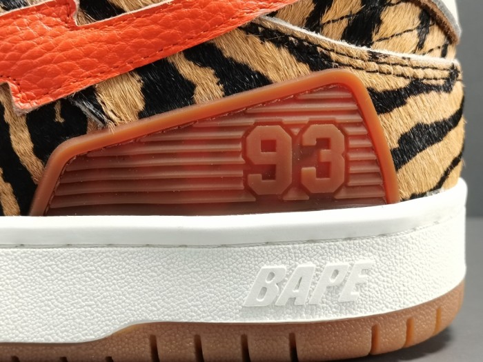Year of the Tiger