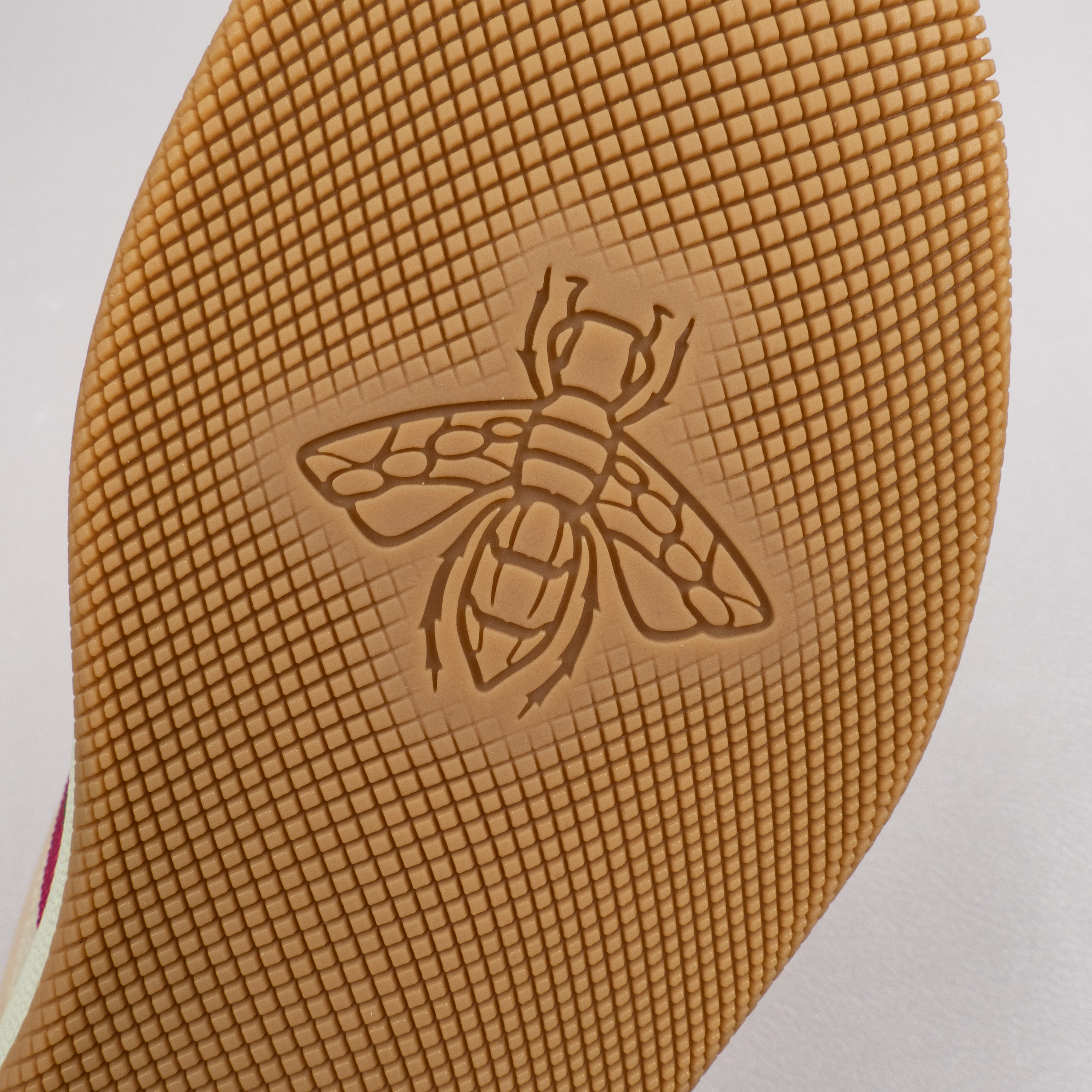 Screener Ivory