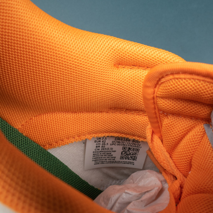 Dunk Low FAMU