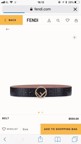 Fendi Belt