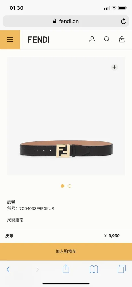 Fendi Belt