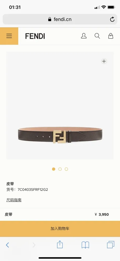 Fendi Belt