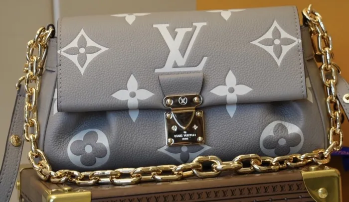 LOUIS VUITTON bags