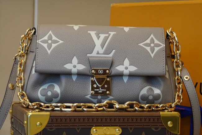 LOUIS VUITTON bags