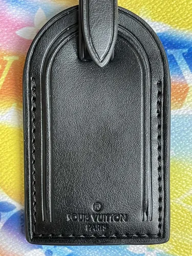 LOUIS VUITTON bags
