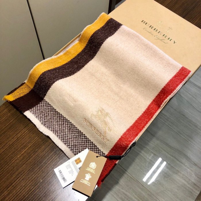 Burberry Scarves