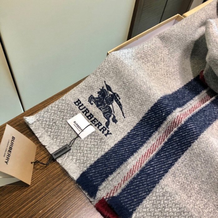 Burberry Scarves