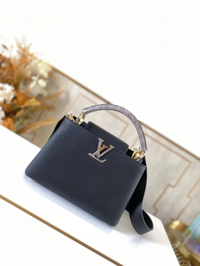 LOUIS VUITTON bags