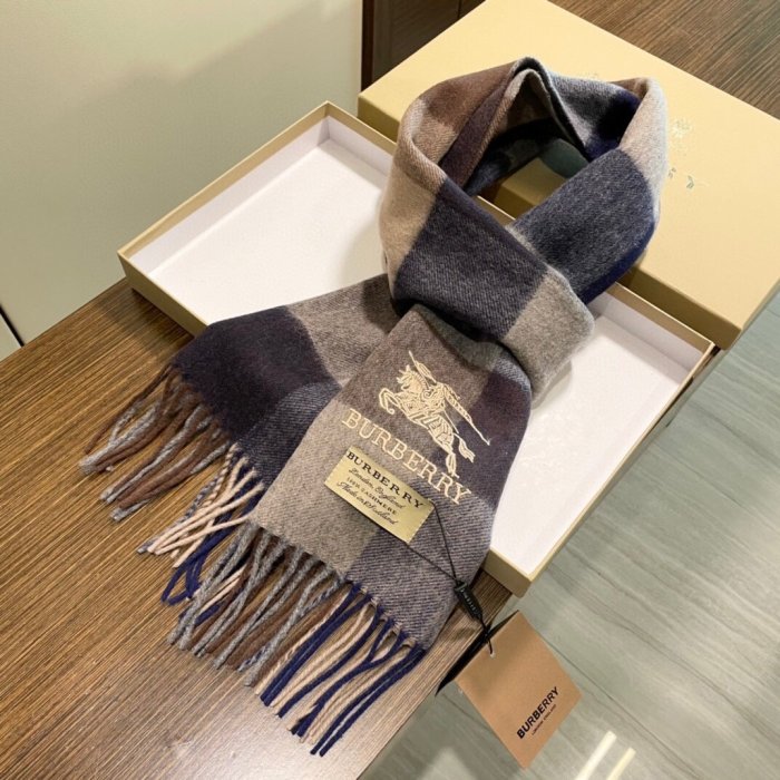 Burberry Scarves