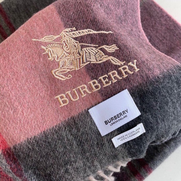 Burberry Scarves