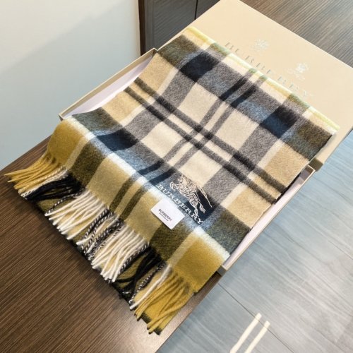 Burberry Scarves