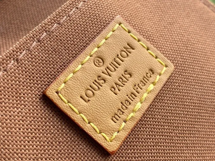 LOUIS VUITTON bags