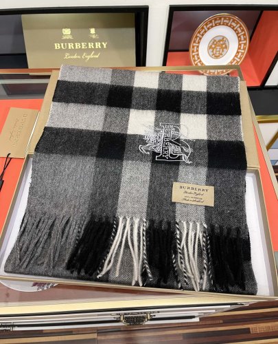 Burberry Scarves