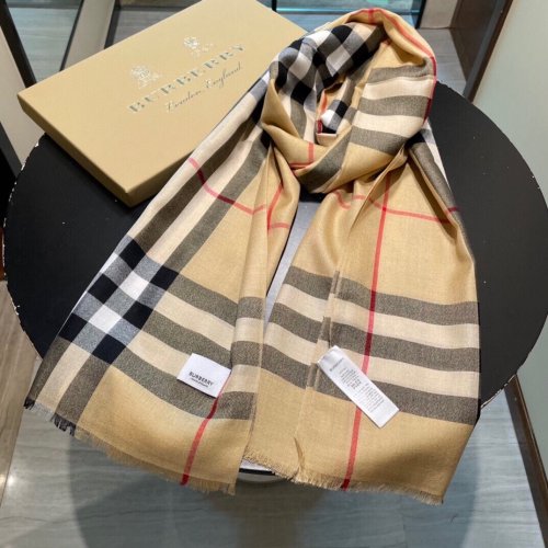 Burberry Scarves