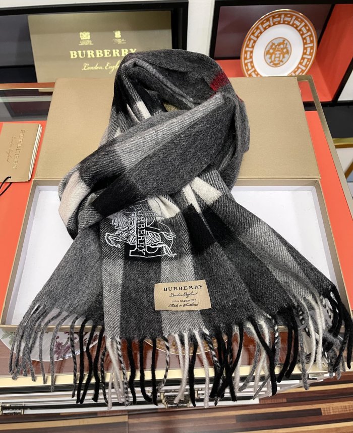 Burberry Scarves