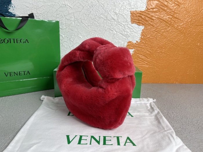 BOTTEGA VENETA bags