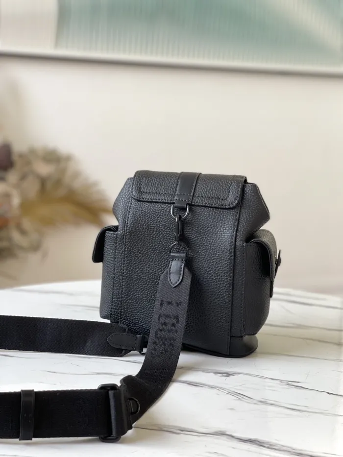 LOUIS VUITTON bags