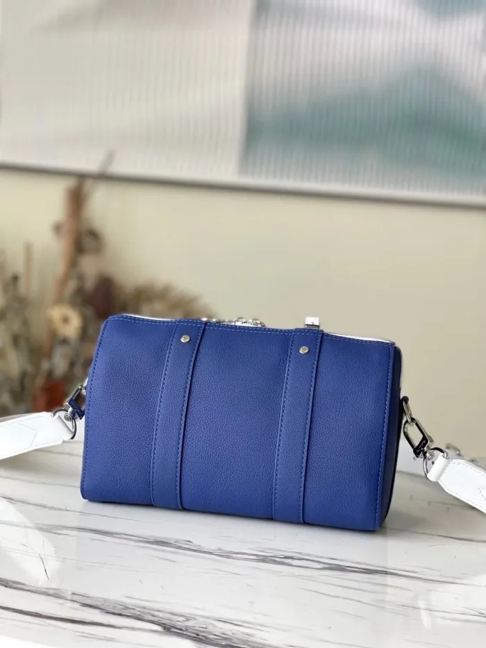 LOUIS VUITTON bags