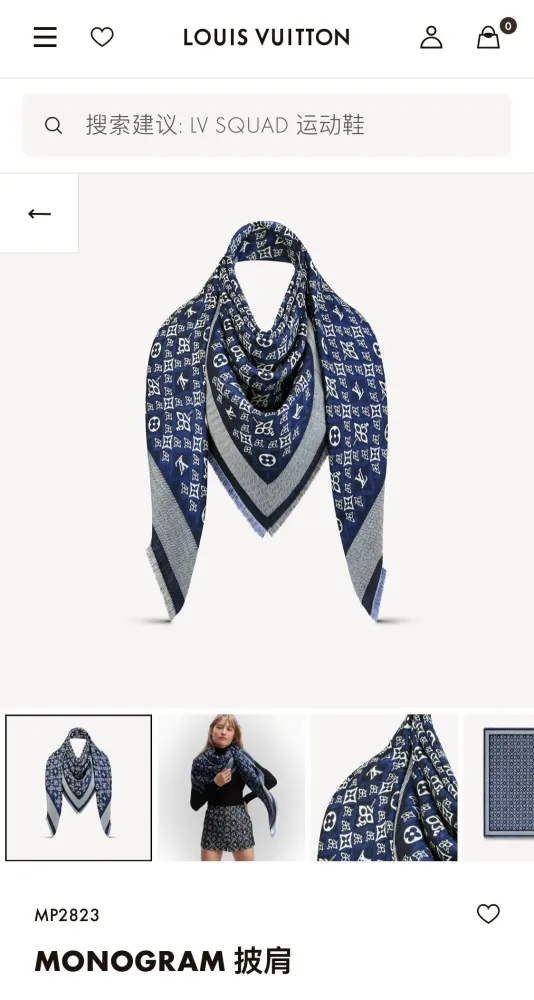 LOUIS VUITTON Scarves