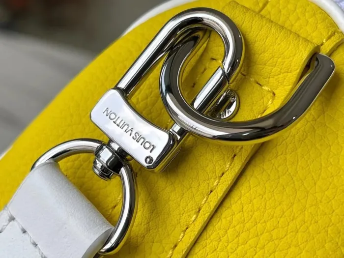 LOUIS VUITTON bags