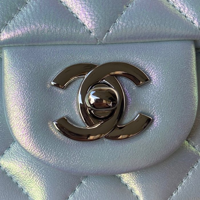 Chanel bags