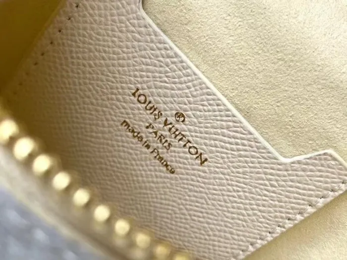 LOUIS VUITTON bags