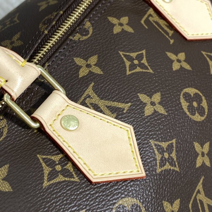 LOUIS VUITTON bags