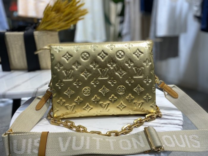 LOUIS VUITTON bags