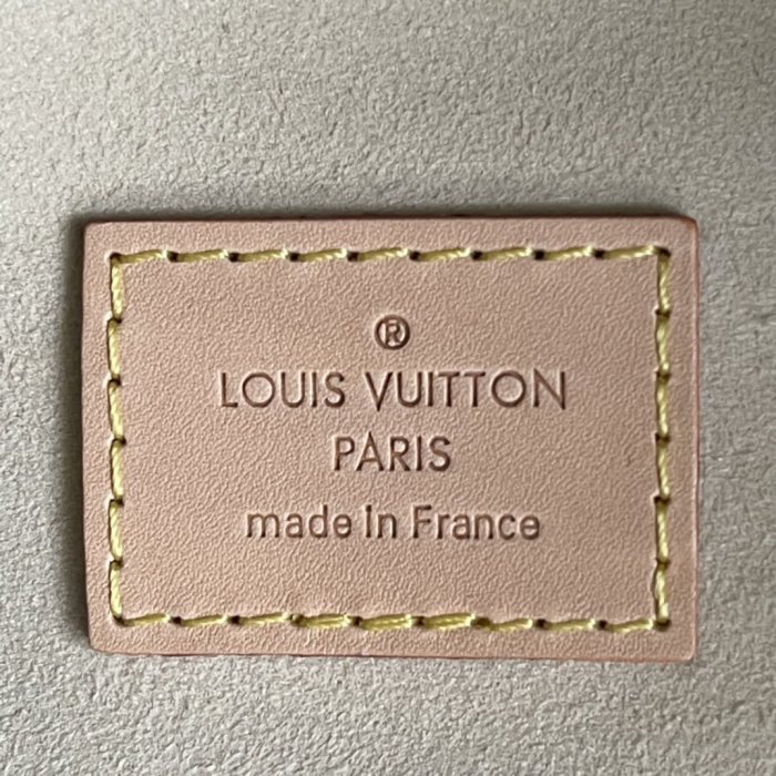 LOUIS VUITTON bags