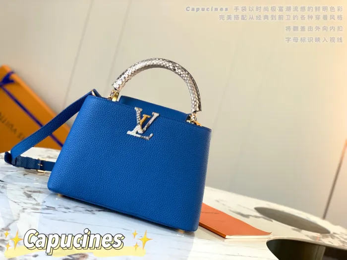 LOUIS VUITTON bags