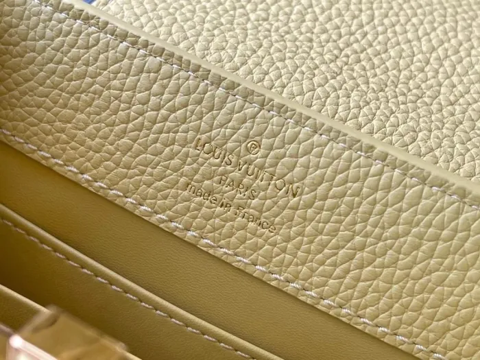 LOUIS VUITTON bags