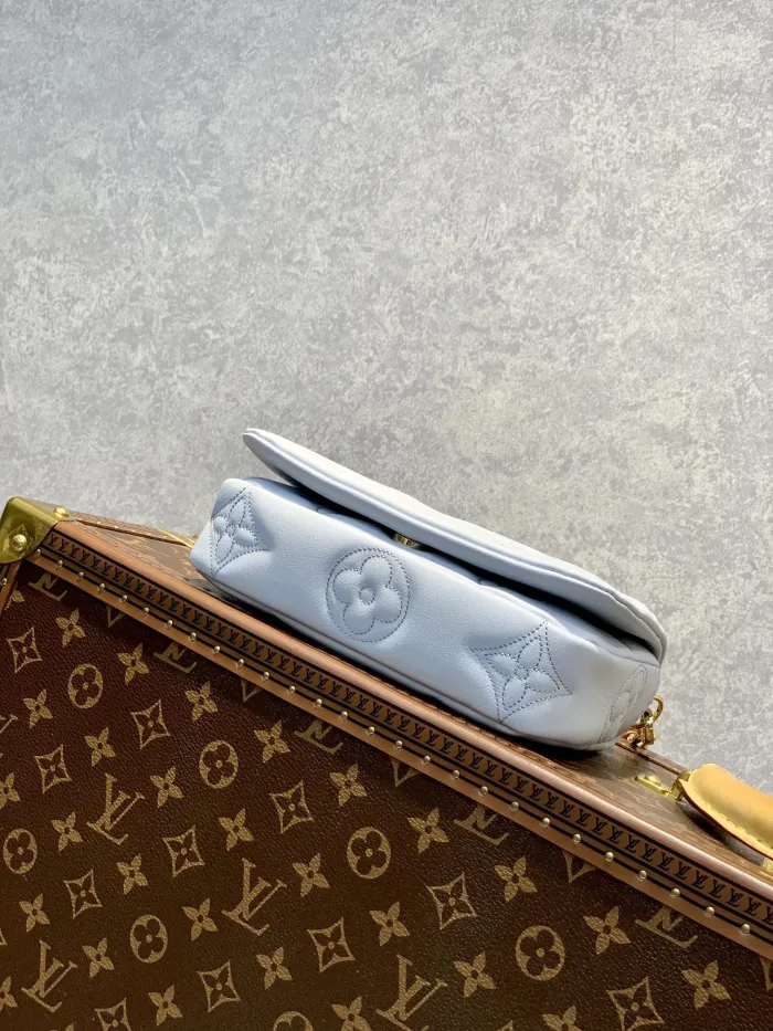 LOUIS VUITTON bags