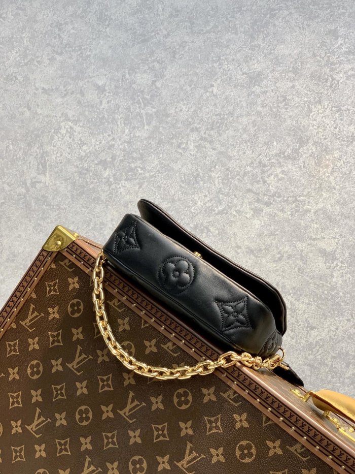 LOUIS VUITTON bags