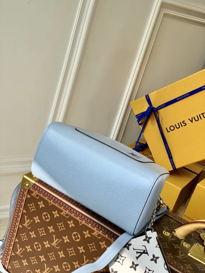LOUIS VUITTON bags