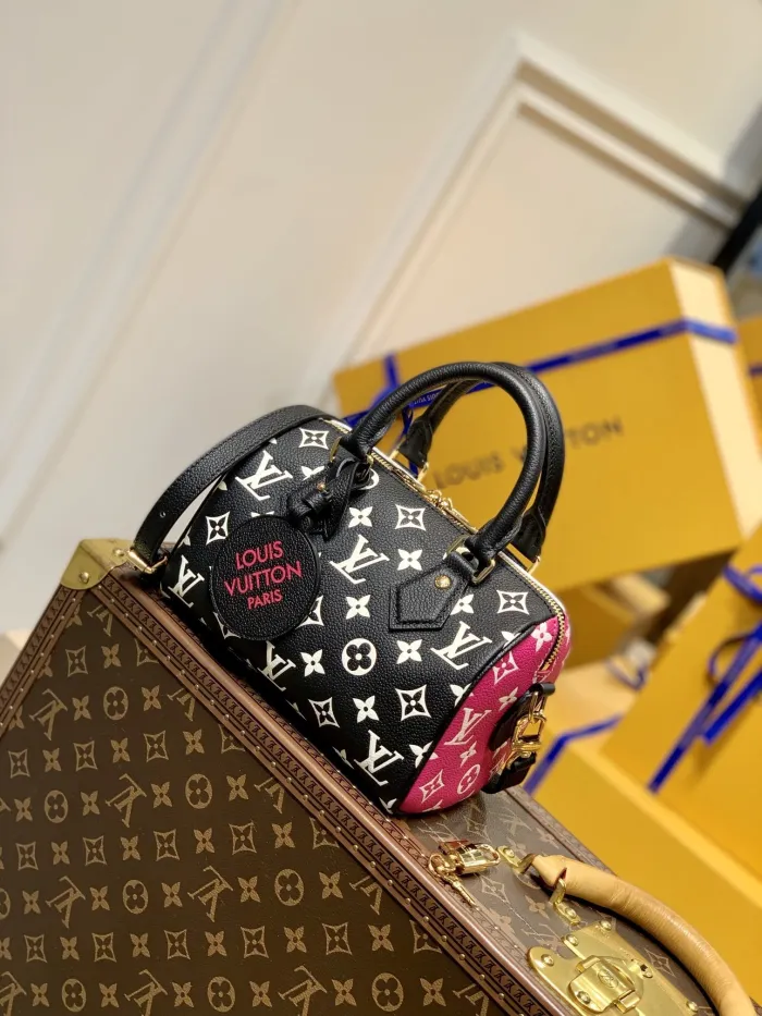 LOUIS VUITTON bags