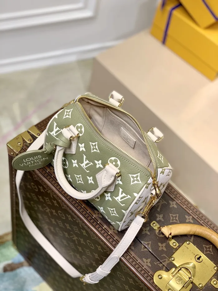 LOUIS VUITTON bags