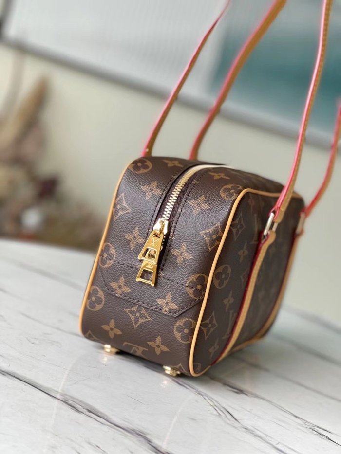 LOUIS VUITTON bags