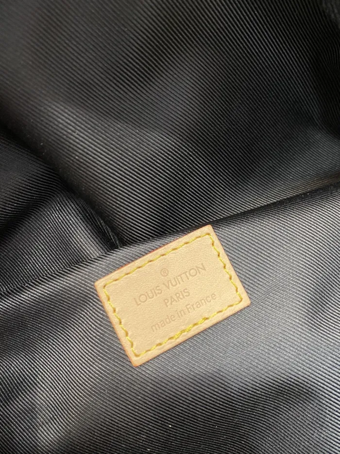 LOUIS VUITTON bags