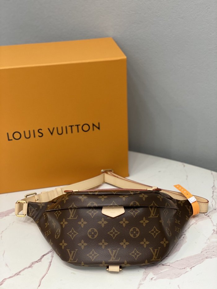 LOUIS VUITTON bags