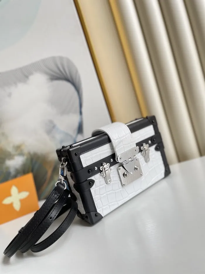 LOUIS VUITTON bags