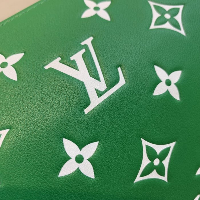 LOUIS VUITTON bags