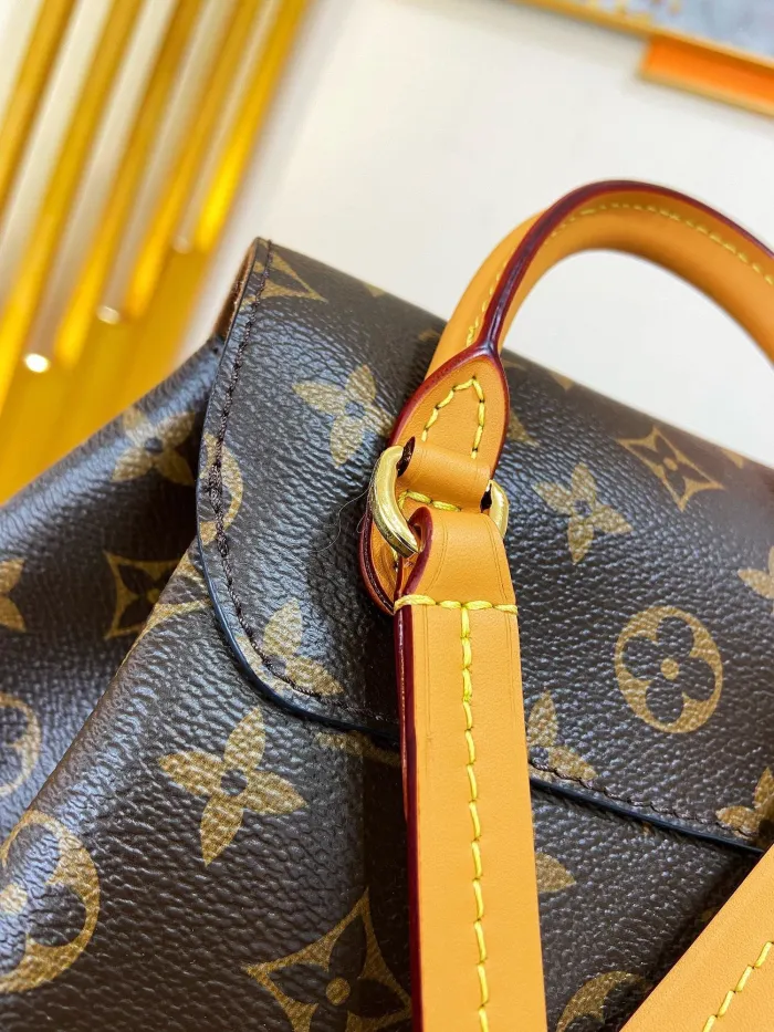 LOUIS VUITTON bags