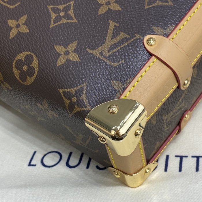 LOUIS VUITTON bags