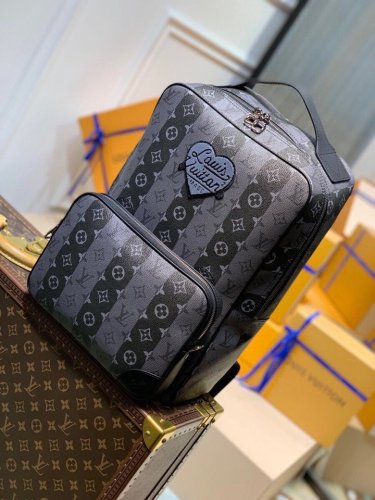 LOUIS VUITTON bags