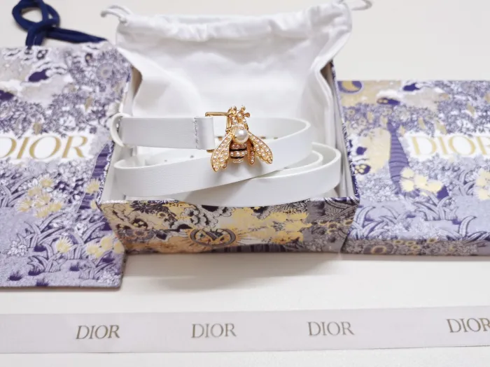 Dior Belt