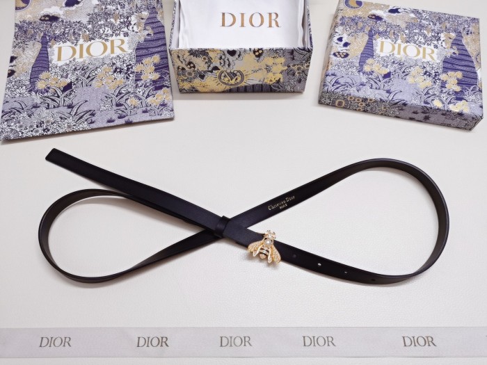 Dior Belt