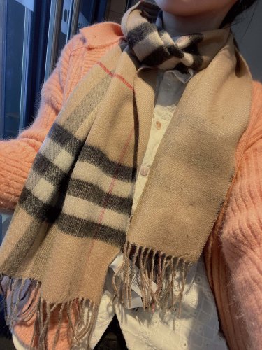 Burberry Scarves